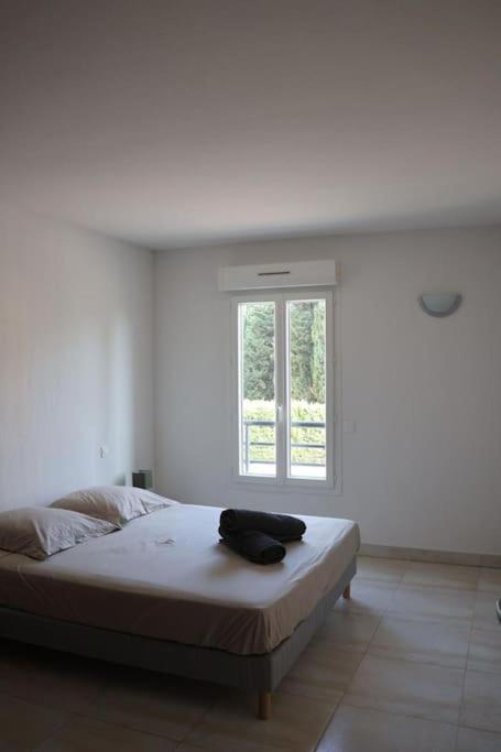 Suberbe Appartement Climatise Avec Terrasse Saint-Raphaël Dış mekan fotoğraf
